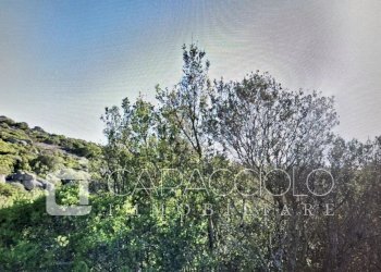 Terreno edificabile Olbia - foto 1