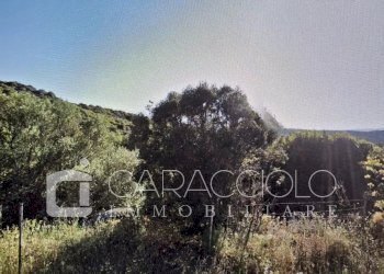 Terreno edificabile Olbia - foto 2
