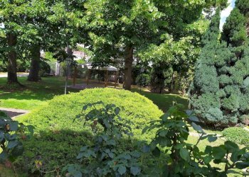 giardino2.jpg - Casa indipendente Riva dei Gabbiani 11, Terracina - foto 5