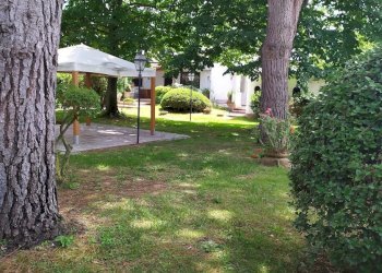 giardinio6.jpg - Casa indipendente Riva dei Gabbiani 11, Terracina - foto 6