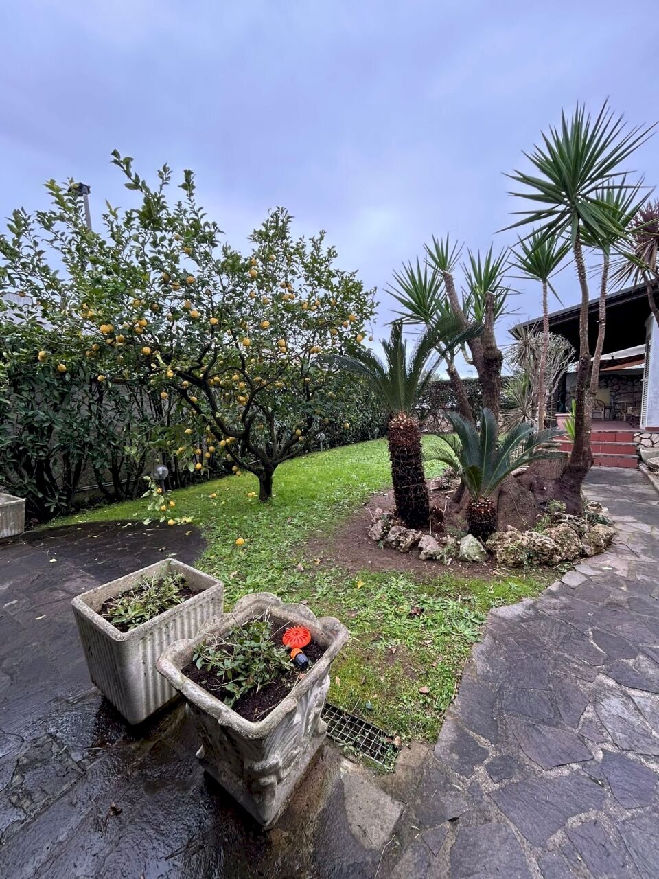 cc659490-d805-43be-bf37-f252191bcc28.jpg - Villetta Via Terracina 399, San Felice Circeo - foto 2