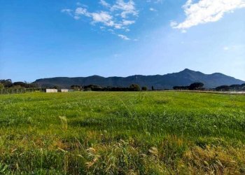 WhatsApp Image 2025-04-27 at 11.10.21.jpeg - Terreno agricolo Via Nardecchia, San Felice Circeo - foto 1