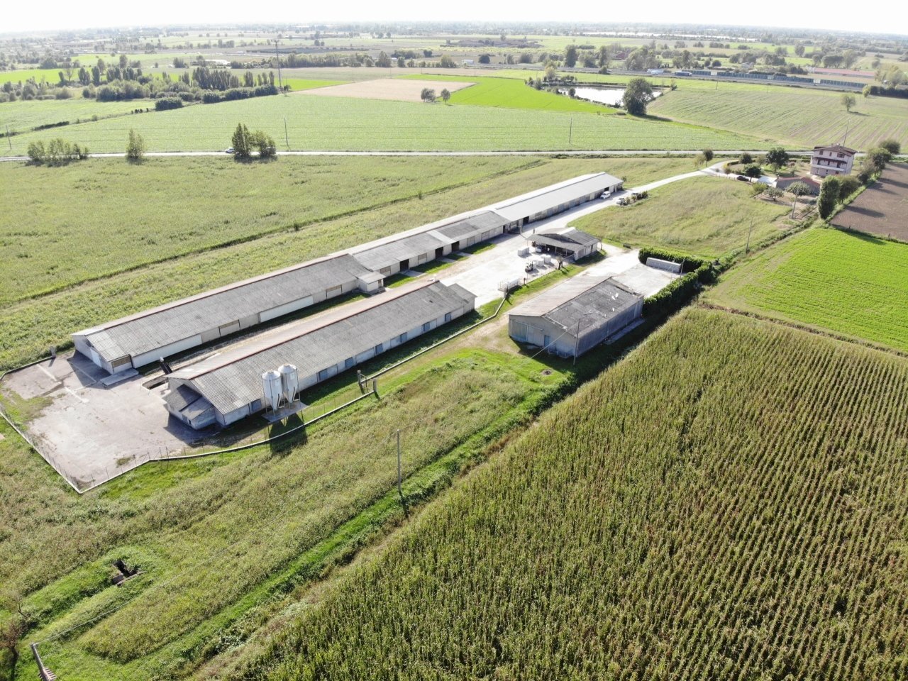 DJI_0848.JPG - Terreno agricolo VIA ISONZO, Leno - foto 2