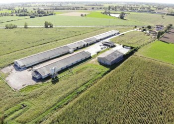 DJI_0848.JPG - Terreno agricolo VIA ISONZO, Leno - foto 2