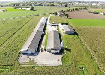 DJI_0851.JPG - Terreno agricolo VIA ISONZO, Leno - foto 4
