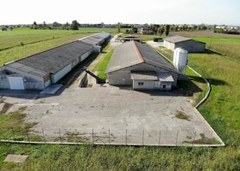 DJI_0854.JPG - Terreno agricolo VIA ISONZO, Leno - foto 5