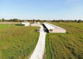 DJI_0859.JPG - Terreno agricolo VIA ISONZO, Leno - foto 8