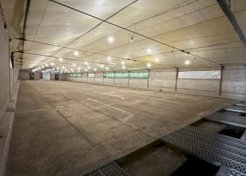 DJI_20250917_160325_479.JPG - Terreno agricolo VIA ISONZO, Leno - foto 12