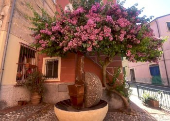 IMG_1114.JPG - Quadrilocale Via Chiesa Trigoso, Sestri Levante - foto 2