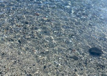 Mare 2023.JPG - Quadrilocale Salita Mandrella, Sestri Levante - foto 4