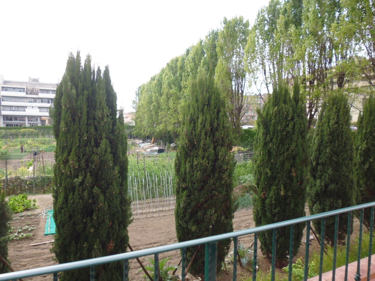 P1040620.JPG - Trilocale Sestri Levante - foto 3