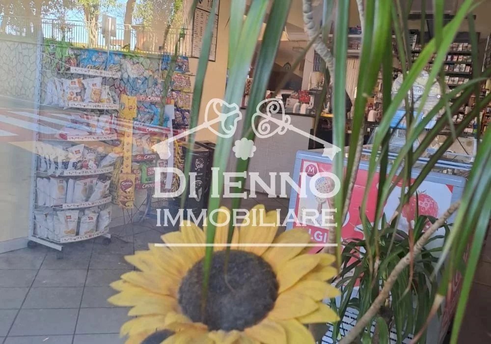 Negozio Ischia di Castro, Ischia di Castro - foto 3