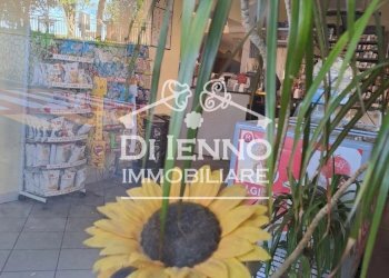 Negozio Ischia di Castro, Ischia di Castro - foto 8