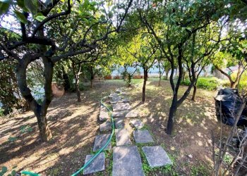 IMG_9820.jpg - Villa Corso Alcide de Gasperi 376, Bari - foto 11