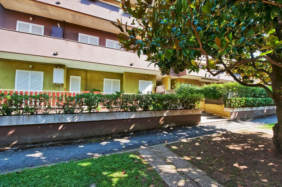 DSC_1052_1.jpg - Appartamento Via Frascati Colonna 74, Frascati - foto 2