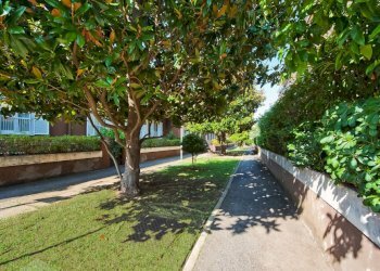 DSC_1056_1.jpg - Appartamento Via Frascati Colonna 74, Frascati - foto 4