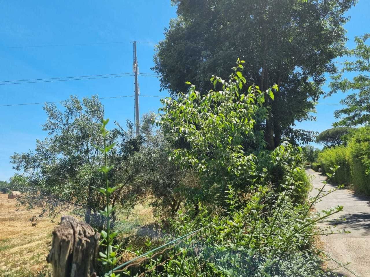 WhatsApp Image 2025-06-11 at 10.00.48 (1).jpeg - Terreno agricolo Via della Tenuta di San Cesareo 41, Roma - foto 1