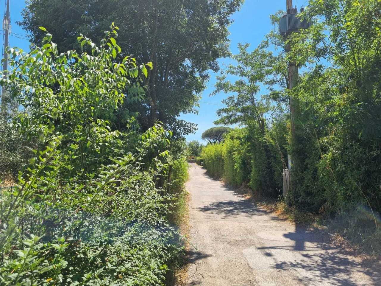 WhatsApp Image 2025-06-11 at 10.00.48.jpeg - Terreno agricolo Via della Tenuta di San Cesareo 41, Roma - foto 2