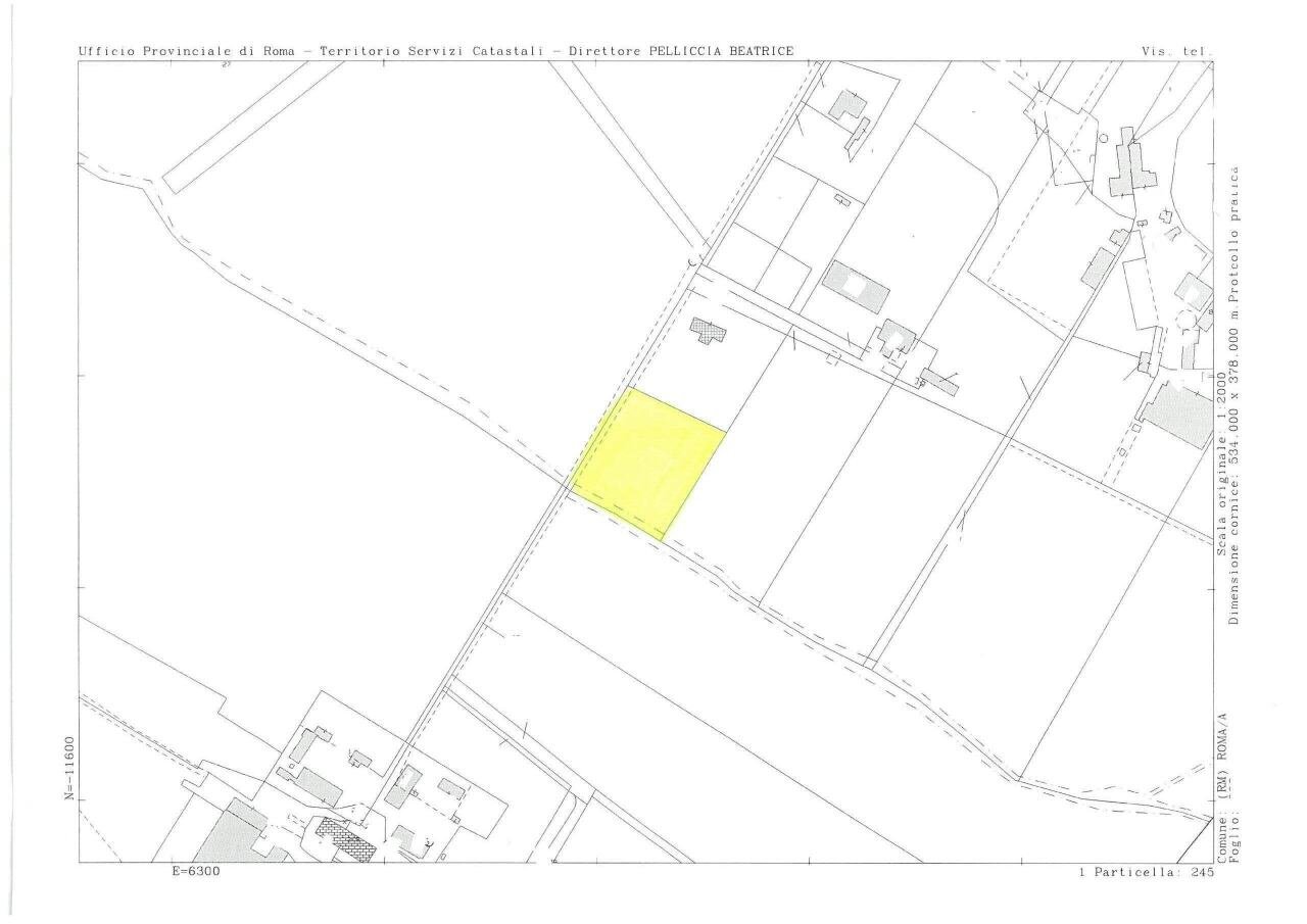 SKM_C250i26033116580.jpg - Terreno agricolo Via della Tenuta di San Cesareo 41, Roma - planimetria 1