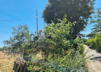 WhatsApp Image 2025-06-11 at 10.00.48 (1).jpeg - Terreno agricolo Via della Tenuta di San Cesareo 41, Roma - foto 1