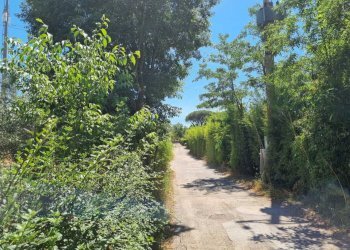 WhatsApp Image 2025-06-11 at 10.00.48.jpeg - Terreno agricolo Via della Tenuta di San Cesareo 41, Roma - foto 2