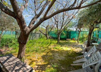 DSC_8053_1.jpg - Casa indipendente Via federico bocchetti 95, Roma - foto 7