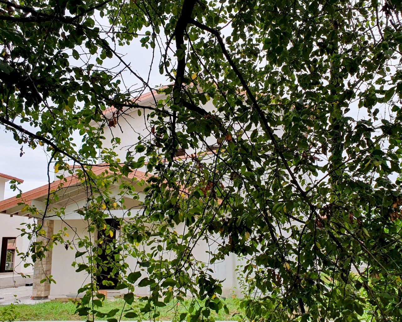 20230829_161326.jpg - Four-room apartment MONTE NETTO, Poncarale - photo 1