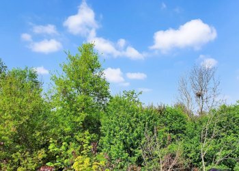 20220427_112643.jpg - Quadrilocale MONTE NETTO, Poncarale - foto 5