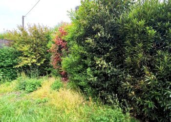 GIARDINO - Villa CHIESANUOVA, Brescia - foto 12