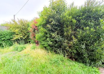 GIARDINO - Villa CHIESANUOVA, Brescia - foto 13