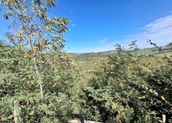 WhatsApp Image 2025-09-24 at 14.49.52 (2).jpeg - Terratetto - Terracielo Via Ugrigno Castello 2, Sant'Agata Feltria - foto 10