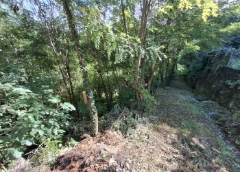 WhatsApp Image 2025-09-24 at 14.49.53 (4).jpeg - Terratetto - Terracielo Via Ugrigno Castello 2, Sant'Agata Feltria - foto 13