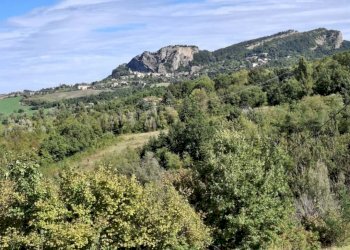 WhatsApp Image 2025-09-24 at 14.49.57 (1).jpeg - Terratetto - Terracielo Via Ugrigno Castello 2, Sant'Agata Feltria - foto 11