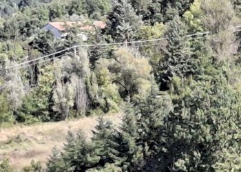 WhatsApp Image 2025-09-24 at 14.49.57.jpeg - Terratetto - Terracielo Via Ugrigno Castello 2, Sant'Agata Feltria - foto 14