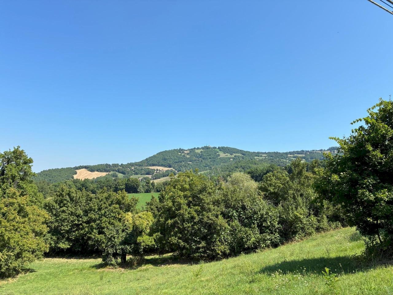 WhatsApp Image 2025-08-13 at 13.41.44.jpeg - Terreno agricolo Località Antico Alto 48, Maiolo - foto 1