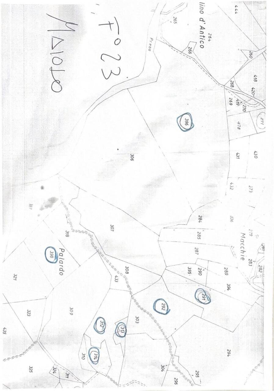 WhatsApp Image 2026-03-26 at 12.04.24.jpeg - Terreno agricolo Località Antico Alto 48, Maiolo - planimetria 1