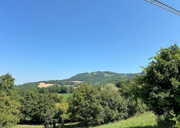 WhatsApp Image 2025-08-13 at 13.41.42.jpeg - Terreno agricolo Località Antico Alto 48, Maiolo - foto 2