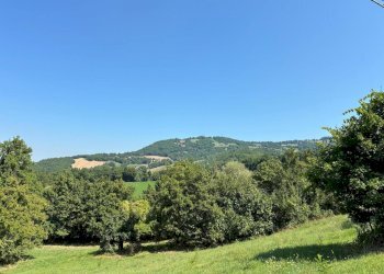 WhatsApp Image 2025-08-13 at 13.41.44.jpeg - Terreno agricolo Località Antico Alto 48, Maiolo - foto 3