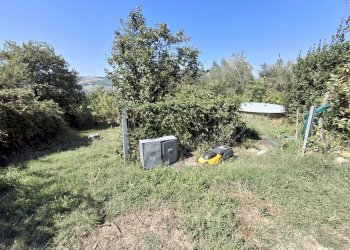 WhatsApp Image 2025-08-11 at 10.35.55.jpeg - Appartamento Località Boscara, Maiolo - foto 19