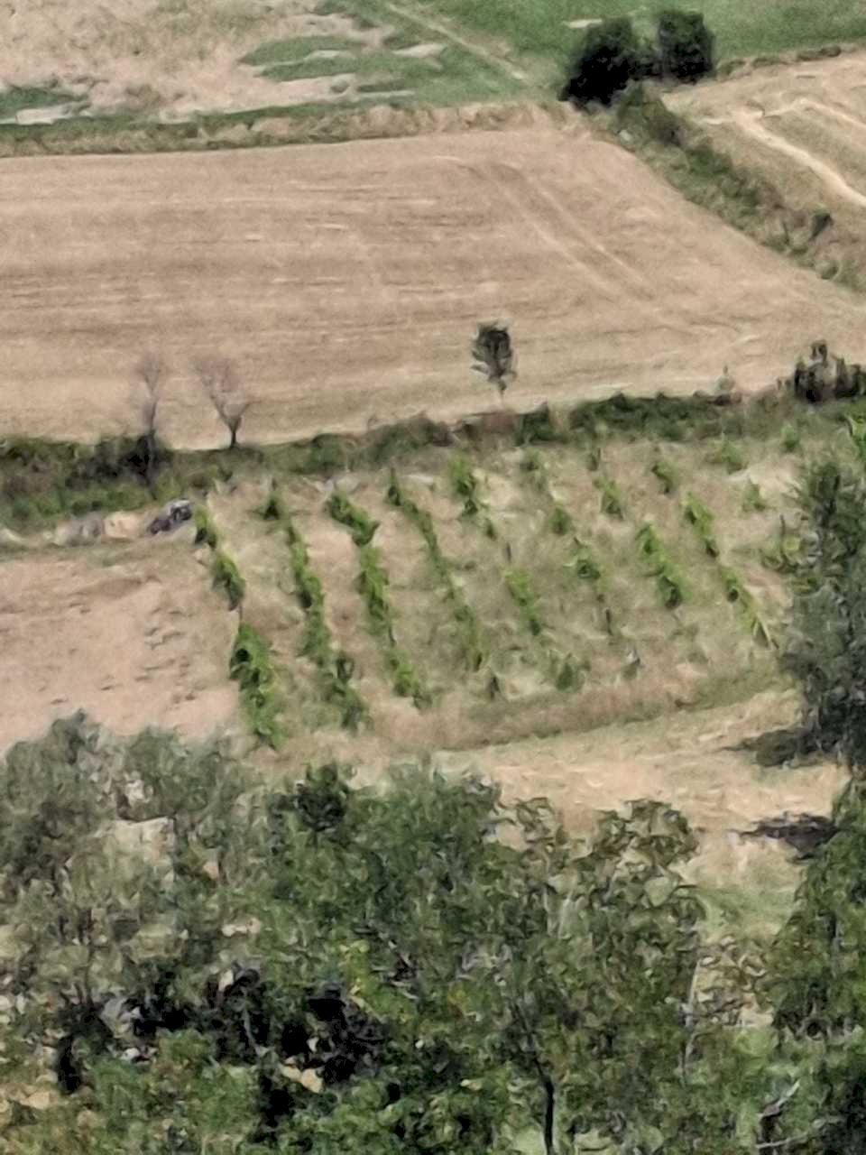 WhatsApp Image 2025-08-12 at 09.14.59 (1).jpeg - Rustic Via Giacomo Leopardi 41, San Leo - photo 1