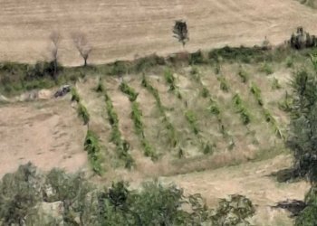 WhatsApp Image 2025-08-12 at 09.14.59 (1).jpeg - Rustico Via Giacomo Leopardi 41, San Leo - foto 2