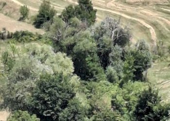 WhatsApp Image 2025-08-12 at 09.14.59.jpeg - Rustico Via Giacomo Leopardi 41, San Leo - foto 3