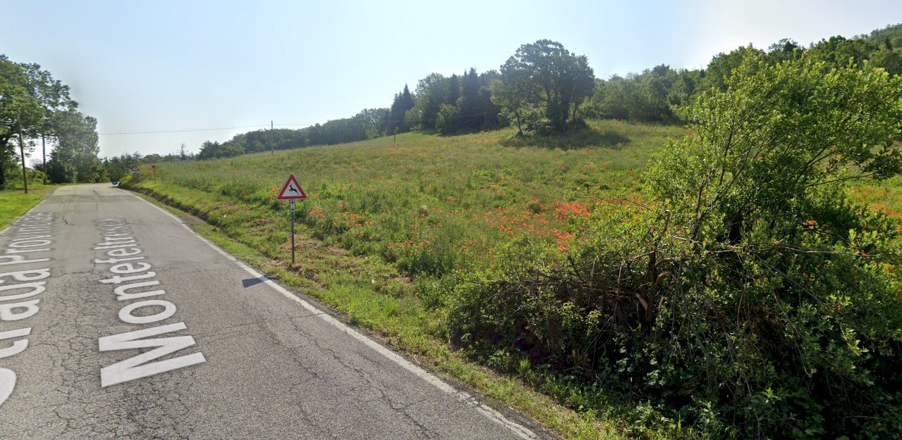 Immagine 2025-07-02 092422.png - Terreno agricolo Via Ca' di Gallo 86, Maiolo - foto 3