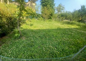 WhatsApp Image 2025-06-13 at 8.56.22 AM (6).jpeg - Appartamento Via Malatesta 15, Sant'Agata Feltria - foto 5