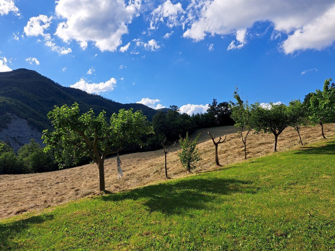 20240616_181436.jpg - Villa Via XXIV Maggio 140, Pennabilli - foto 3