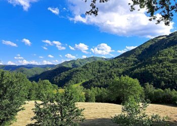 20240616_180135.jpg - Villa Via XXIV Maggio 140, Pennabilli - foto 9