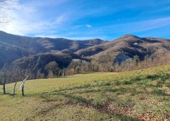 20250112_141923.jpg - Villa Via XXIV Maggio 140, Pennabilli - foto 23