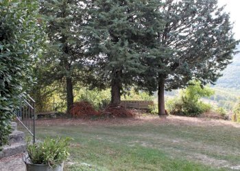 WhatsApp Image 2025-04-17 at 11.46.03 AM (10).jpeg - Terratetto - Terracielo Via Capriano 5, Pennabilli - foto 6