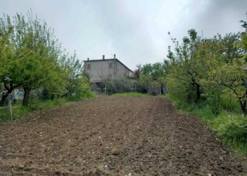 WhatsApp Image 2025-04-03 at 5.04.05 PM.jpeg - Terratetto - Terracielo Via Serra di Sotto 52, Pennabilli - foto 3