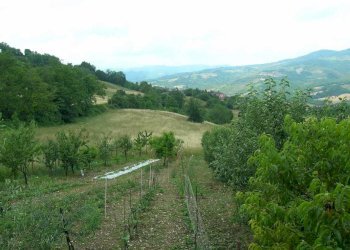 WhatsApp Image 2025-04-03 at 5.04.06 PM (7).jpeg - Terratetto - Terracielo Via Serra di Sotto 52, Pennabilli - foto 7